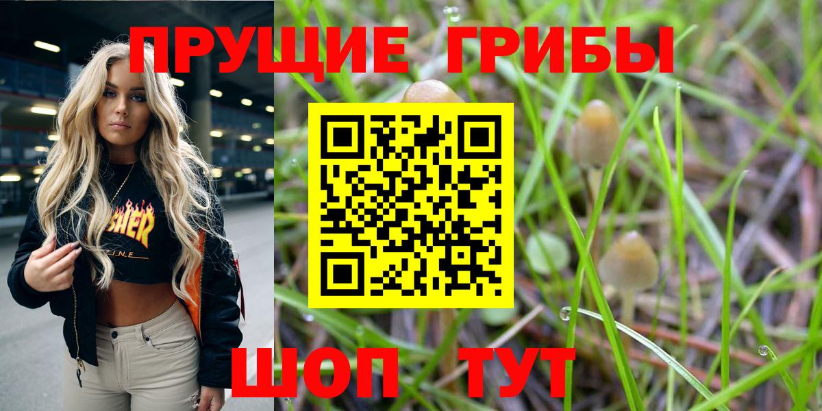 Псилоцибиновые грибы ЛСД Ликино-Дулёво
